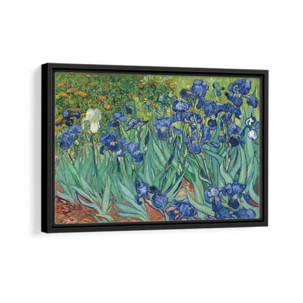 Irises framed canvas black frame
