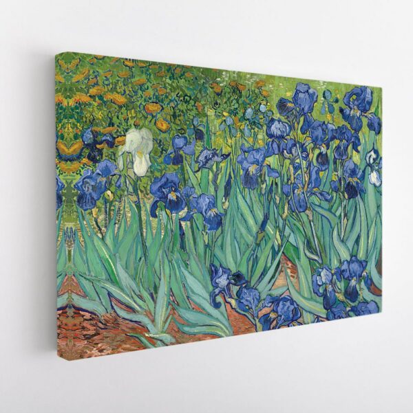 Irises stretched canvas