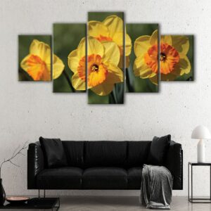 5 panels Daffodil flowers canvas art